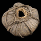 A récipient, or a container, taken from Kenya's Turkana before 1903.